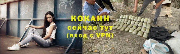 не бодяженный Алексин