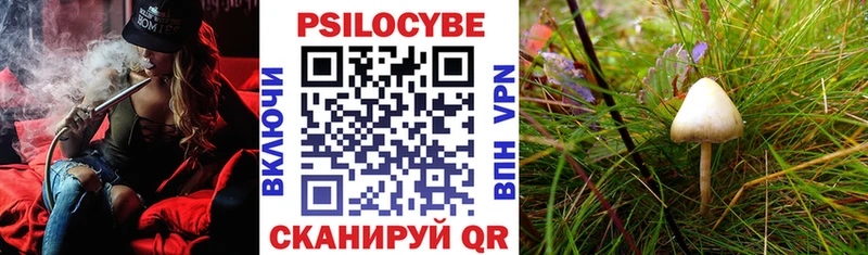 Галлюциногенные грибы ЛСД  кракен tor  Бологое 